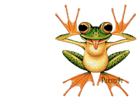 Gif coucou grenouille